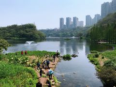 -重庆彩云湖湿地公园