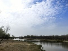 -西青郊野公园