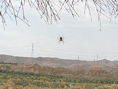-水洞沟旅游区