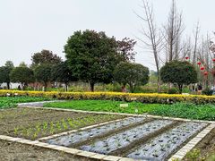 -洪湖家庭农场·团建·露营·会议