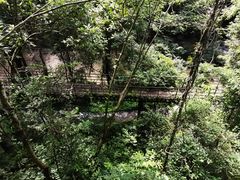 -野象谷景区
