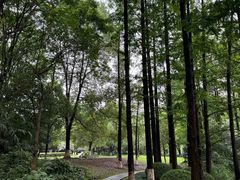 -苏州河梦清园环保主题公园