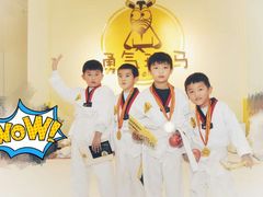 -勇气斑马·巴西柔术&跆拳道(浦东三林店)