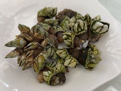 九爪螺-万山楼海鲜酒家·二十三年老字号