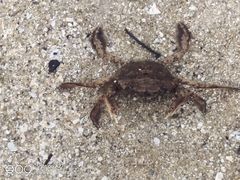 -西涌国际滨海旅游区