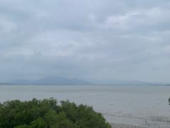 -深圳湾公园(南山区)