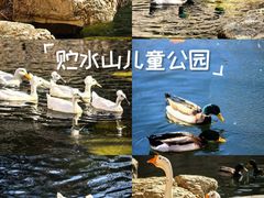 -贮水山儿童公园