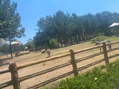 -大连森林动物园