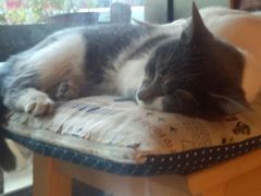 android_upload_pic-MIKAKU(万达广场上海宝山店)