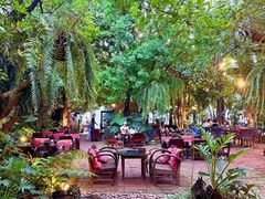 -Fern Forest Cafe