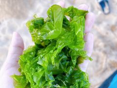 -那香海钻石沙滩浴场