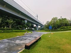 -宝安西湾红树林湿地公园