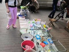-东山民生市场(南崂路)