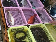 -南沙十九涌渔人码头-南门