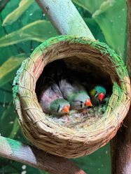 -Zoolung Zoolung动物主题公园(海信广场店)