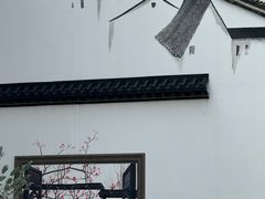 -青果巷历史文化街区