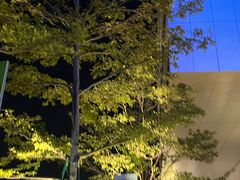 -蔡澜Pho·越南粉餐厅(海上世界店)