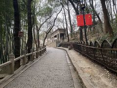 -灵岩山风景区