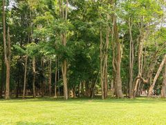 -中国科学院西双版纳热带植物园