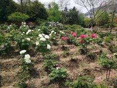 -江南大学(蠡湖校区)