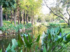 -人民公园(罗湖区)