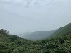 -山叶口景区