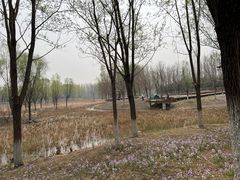 -东郊湿地公园