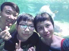 -暹罗海洋世界