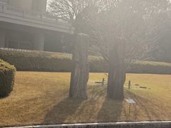 -东京国立博物馆