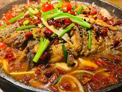-老板恋上鱼(高新万达店)