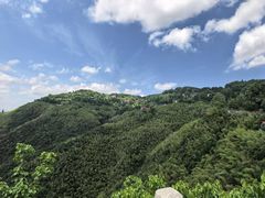-莫干山风景区