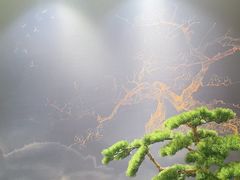 -海月轩海鲜豆捞(紫金塔店)