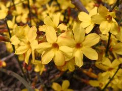 -国家植物园南园