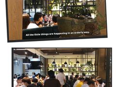 -三猫黑鱼花(南大店)