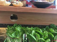 小白菜-火候轩品质湘菜·私厨(市府店)