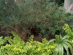 -国家植物园南园