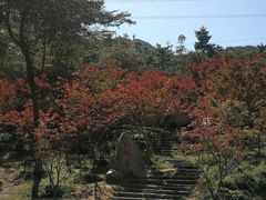 -广州市帽峰山景区