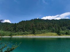 -武陵山森林公园