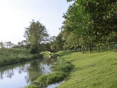 -两河城市森林公园