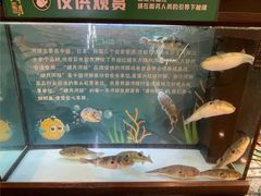 -肆月河豚·淮扬菜·湘菜(华天店)