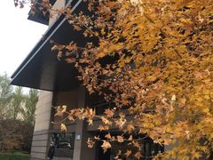 -哈尔滨工业大学-图书馆