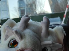 -中央广播电视总台(光华路办公区)