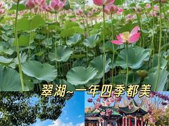 -南屏步行街