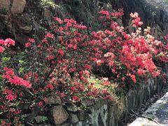 -东山风景区(洞庭东山)
