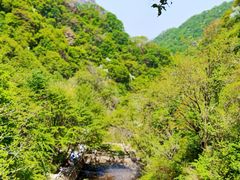 -西安祥峪森林公园