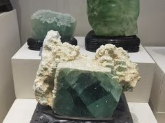 -安徽省地质博物馆