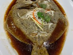 清蒸多宝鱼-双井轩(双井店)