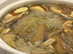 -蘑统田下·野生菌火锅