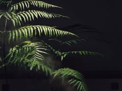 -光作面包Voila Lumiere(中山店)