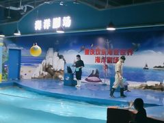 -重庆欢乐海底世界